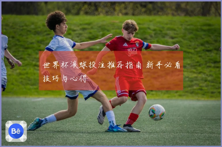 世界杯滚球投注推荐指南 新手必看技巧与心得