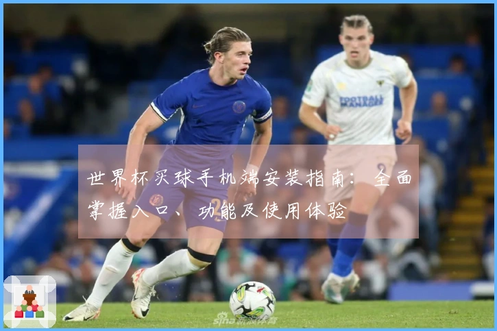 世界杯买球手机端安装指南：全面掌握入口、功能及使用体验