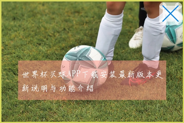 世界杯买球APP下载安装最新版本更新说明与功能介绍