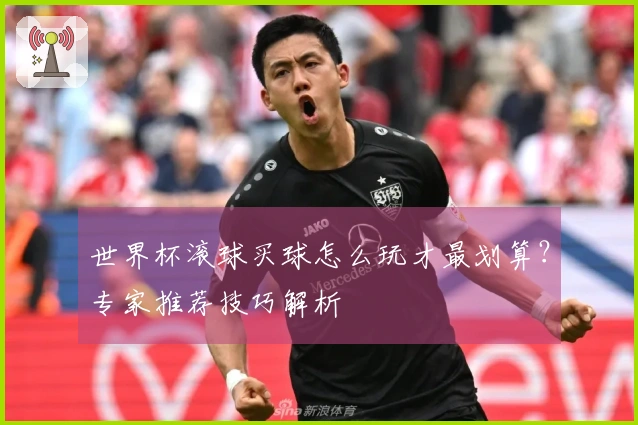 世界杯滚球买球怎么玩才最划算？专家推荐技巧解析