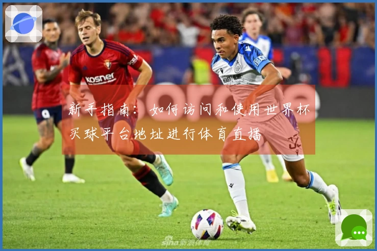 新手指南：如何访问和使用世界杯买球平台地址进行体育直播