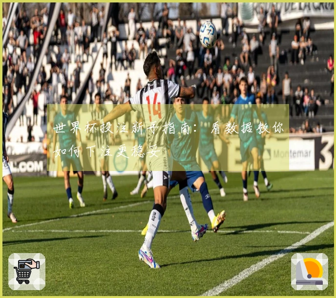 世界杯投注新手指南：看数据教你如何下注更稳妥