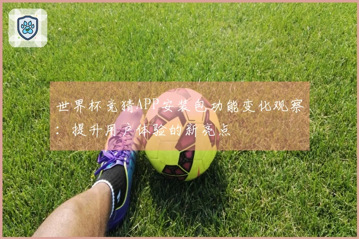 世界杯竞猜APP安装包功能变化观察：提升用户体验的新亮点