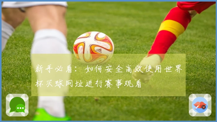 新手必看：如何安全高效使用世界杯买球网址进行赛事观看