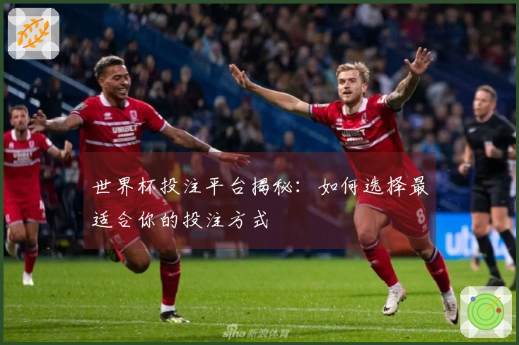 世界杯投注平台揭秘：如何选择最适合你的投注方式