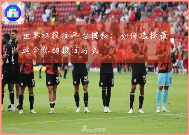 世界杯投注平台揭秘：如何选择最适合你的投注方式