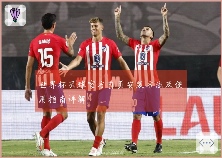 世界杯买球官方首页安装方法及使用指南详解