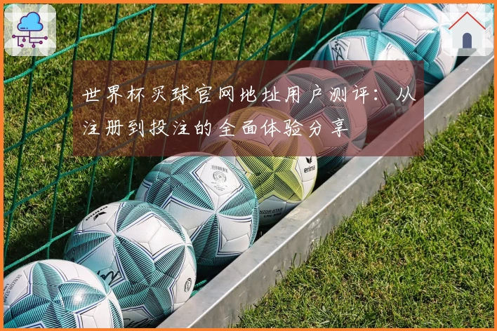 世界杯买球官网地址用户测评：从注册到投注的全面体验分享