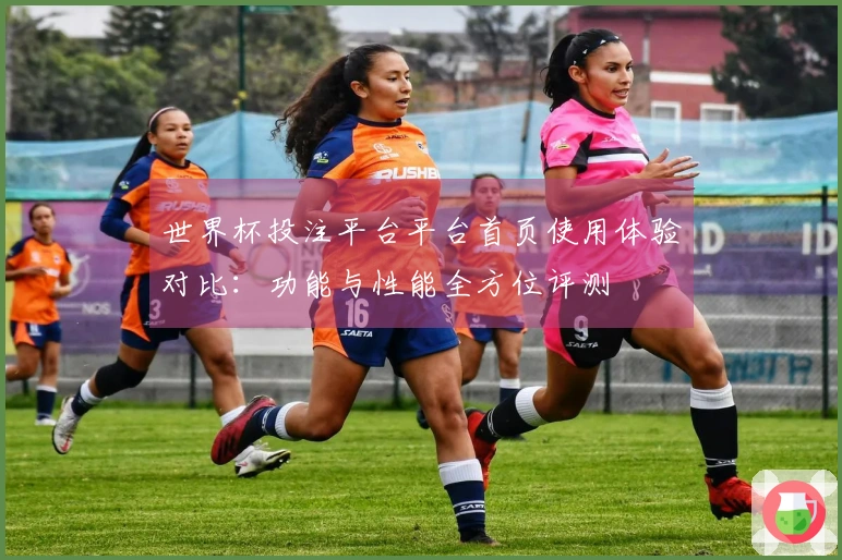 世界杯投注平台平台首页使用体验对比：功能与性能全方位评测