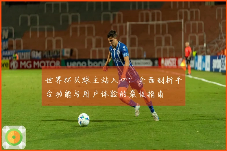 世界杯买球主站入口：全面剖析平台功能与用户体验的最佳指南