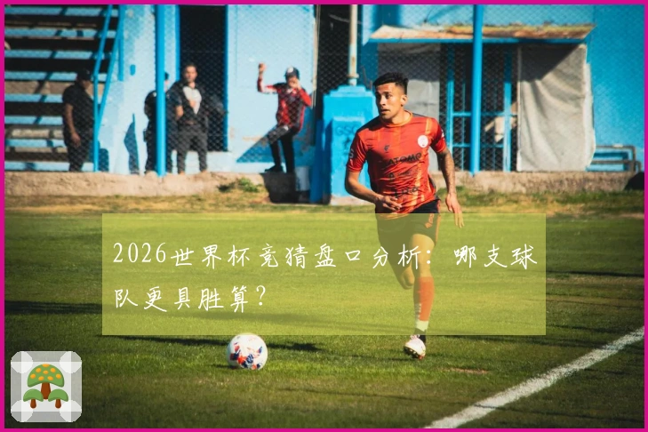 2026世界杯竞猜盘口分析：哪支球队更具胜算？