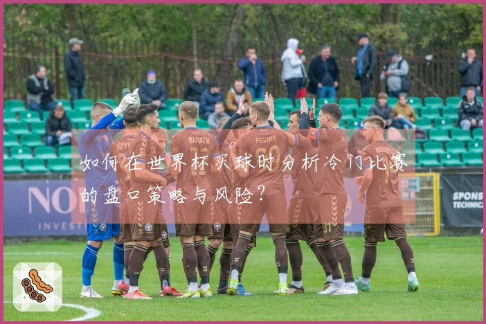 如何在世界杯买球时分析冷门比赛的盘口策略与风险？
