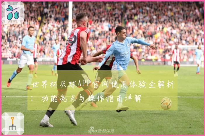 世界杯买球APP官网使用体验全解析：功能亮点与操作指南详解