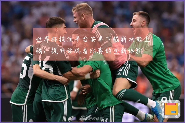 世界杯投注平台安卓下载新功能上线，提升你观看比赛的全新体验